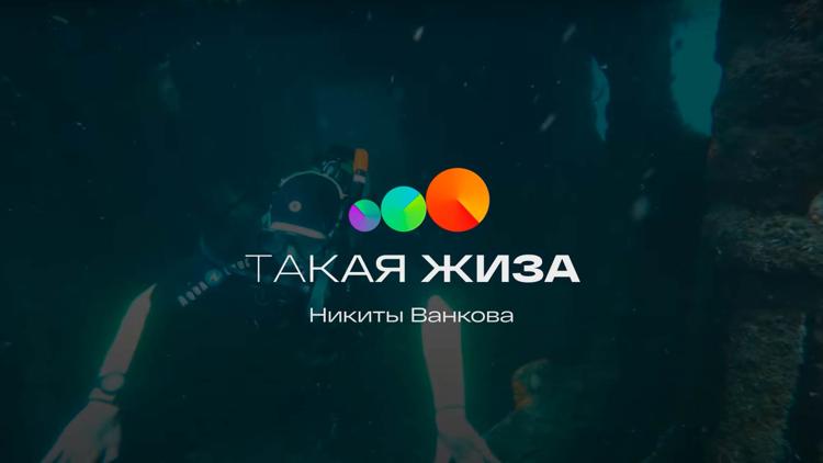 Постер Такая жиза Никиты Ванкова