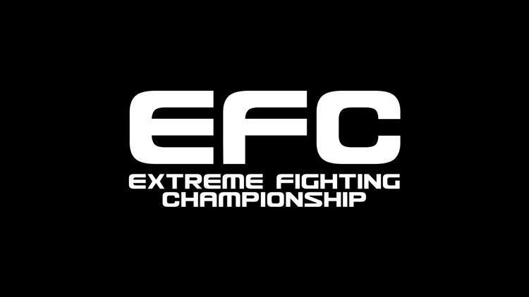 Постер Смешанные единоборства. EFC. Кирилл Хомицкий против Артура Гусейнова. Гаджи Рабаданов против Мехди Дакаева