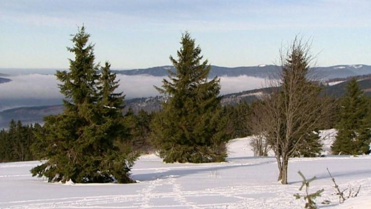 Постер Winterreise in die Vogesen