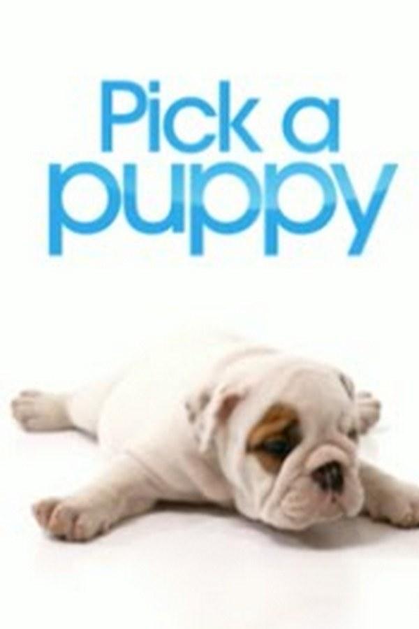 Pick a Puppy (pick-a-puppy) Реалити-шоу