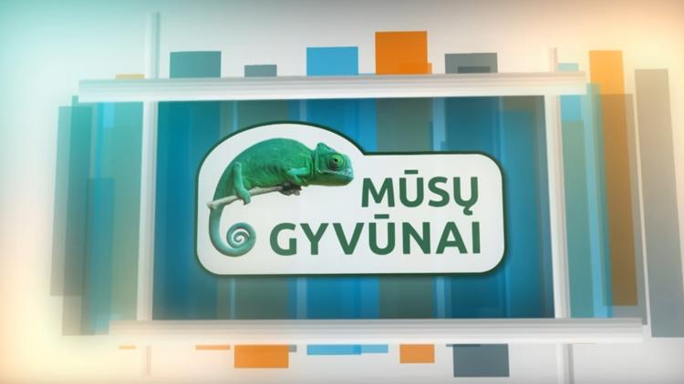 Постер Mūsų gyvūnai