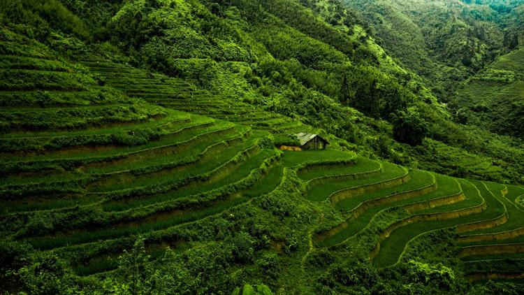 Постер Le Vietnam vu du ciel