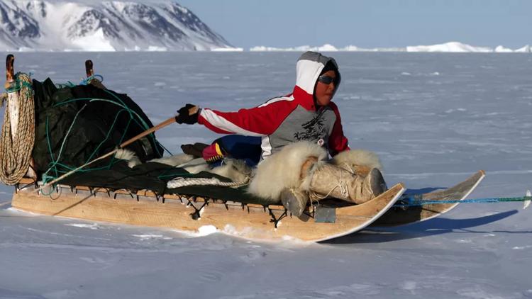 Постер Le petit chasseur de l'Arctique