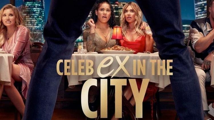 Постер Celeb Ex In The City