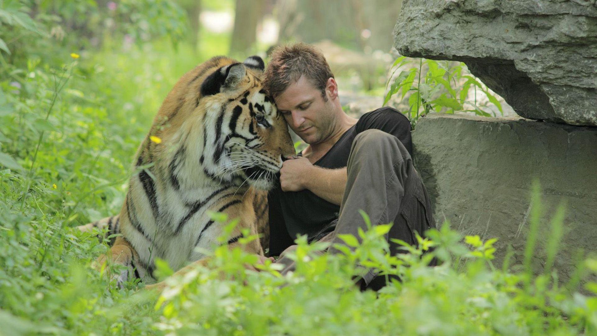 Dave Salmoni: Die Löwen von Sabi Sand (dave-salmoni-die-lwen-von-sabi-sand) Документальный фильм