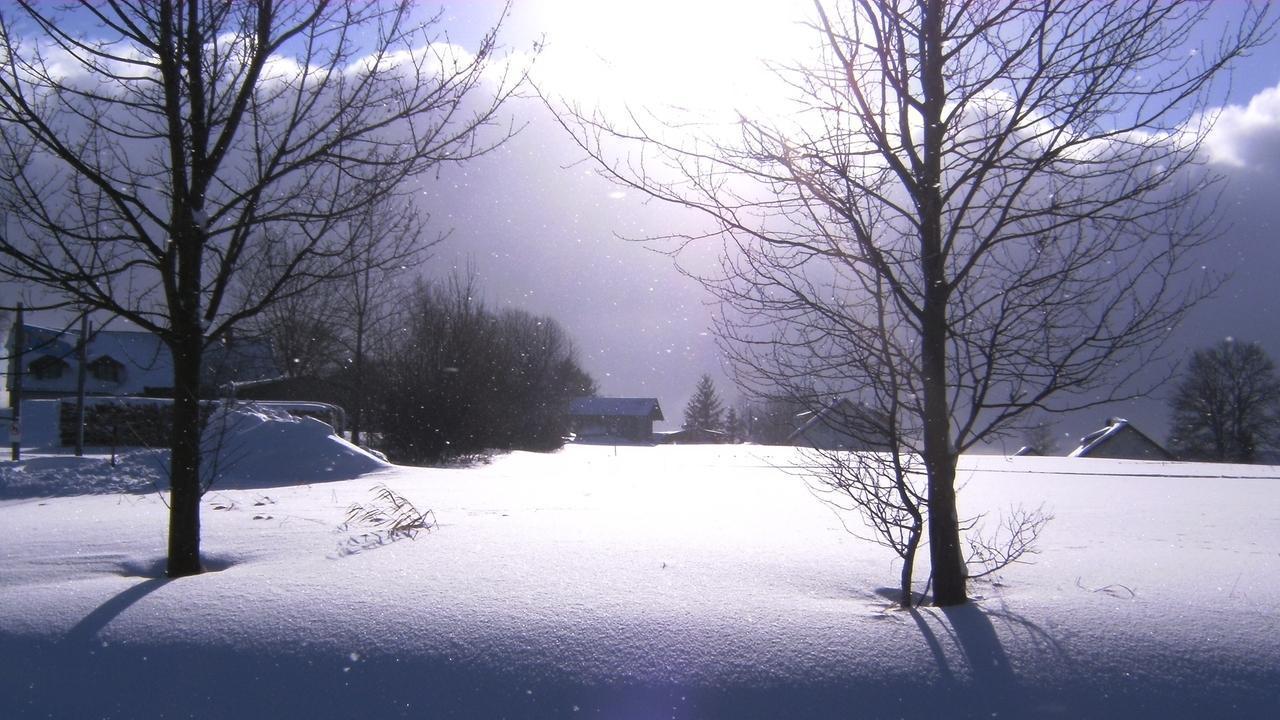 Winter im Bayerischen Wald (winter-im-bayerischen-wald) Документальный фильм