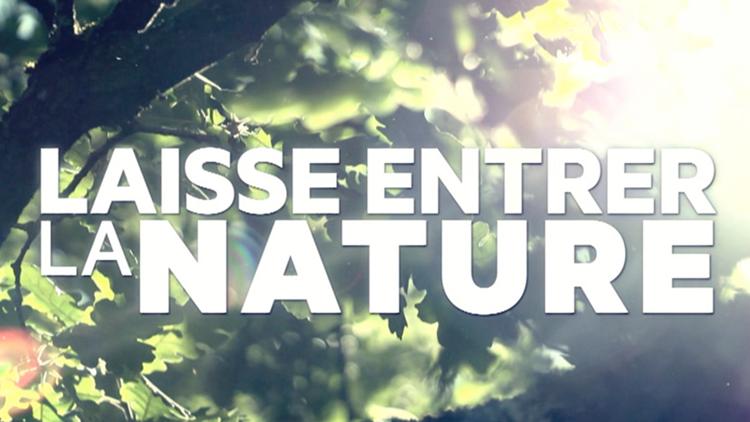 Постер Laisse entrer la nature