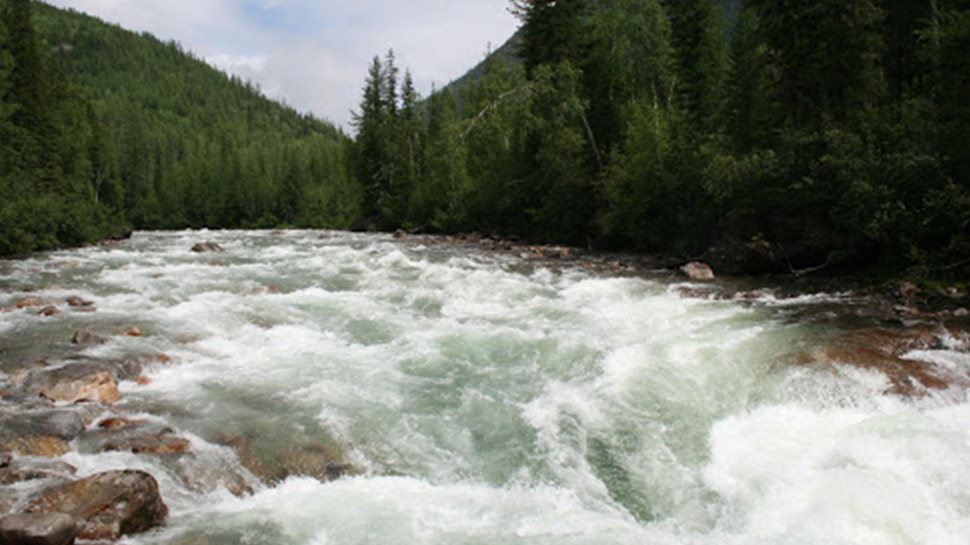 Река Казыр (reka-kazyr) Досуг, хобби