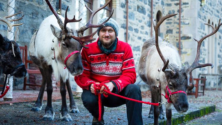 Постер A Baby Reindeer's First Christmas