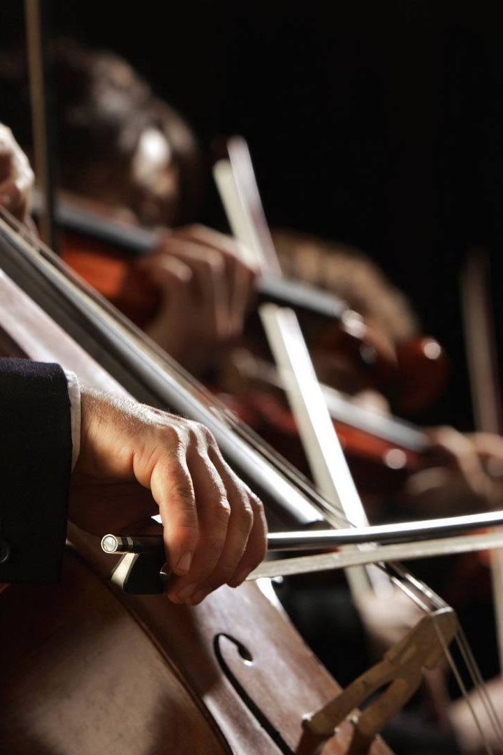 Concierto Navidad OSRM (concierto-navidad-osrm) Музыка