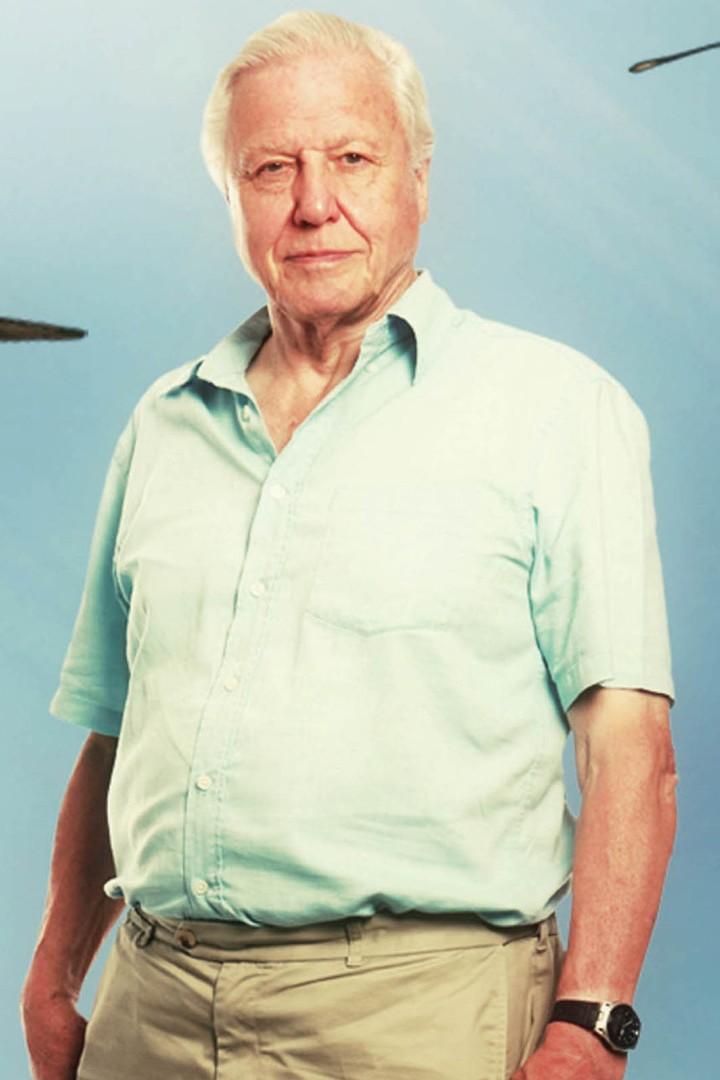 David Attenborough's Flying Monster (david-attenboroughs-flying-monster) Документальный фильм