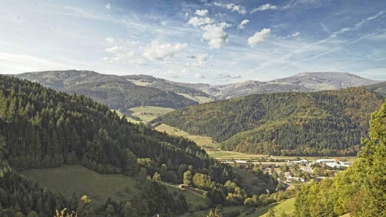 Wintersonne über dem Schwarzwald (wintersonne-ber-dem-schwarzwald) ТВ-шоу