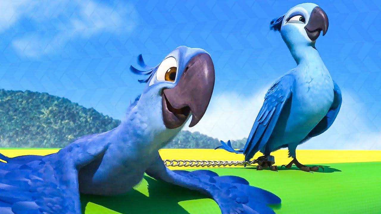 Rio (rio) Мультфильм 2016