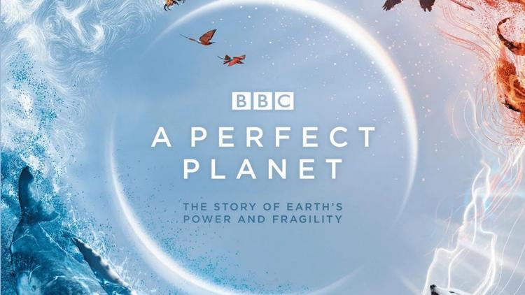 Постер A Perfect Planet