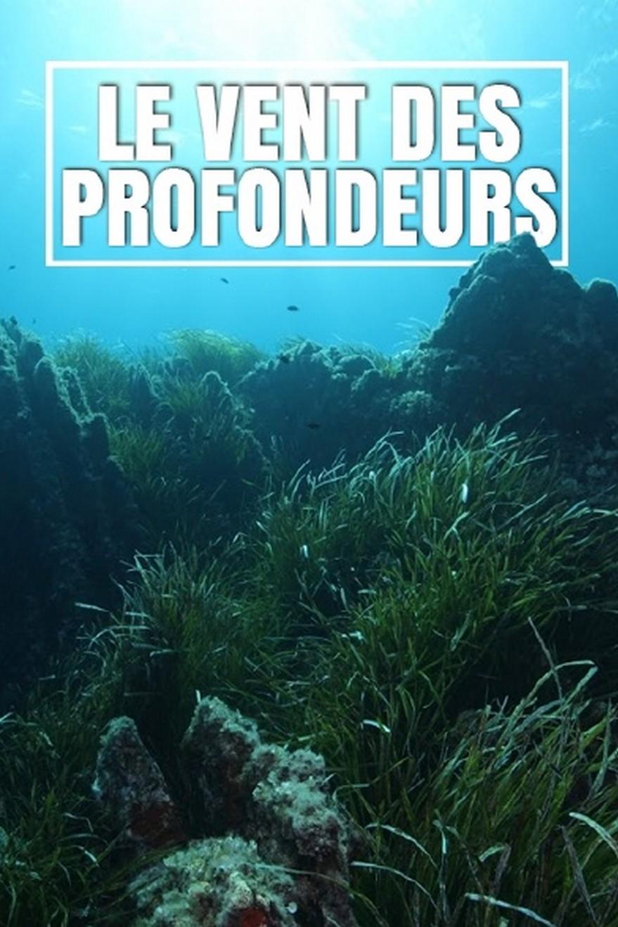 Le vent des profondeurs (le-vent-des-profondeurs) Документальный сериал