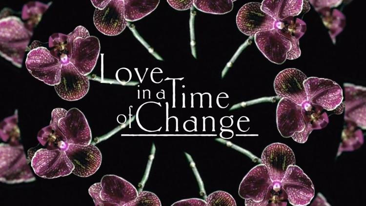 Постер Love In A Time of Change