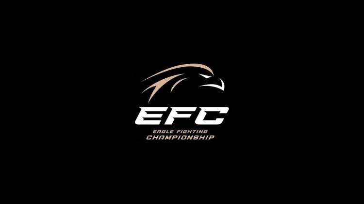 Постер Смешанные единоборства. EFC 30. Кирилл Хомицкий против Артура Гусейнова. Гаджи Рабаданов против Мехди Дакаева