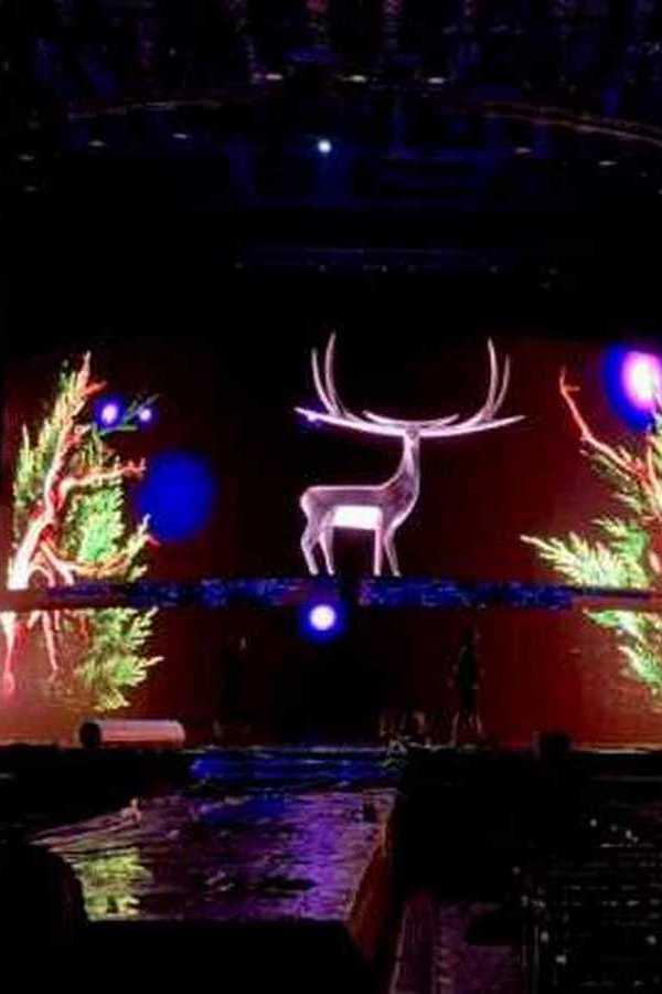 Festivalul Internaţional Cerbul de Aur, 2019 (festivalul-internaional-cerbul-de-aur-2019) Досуг, хобби