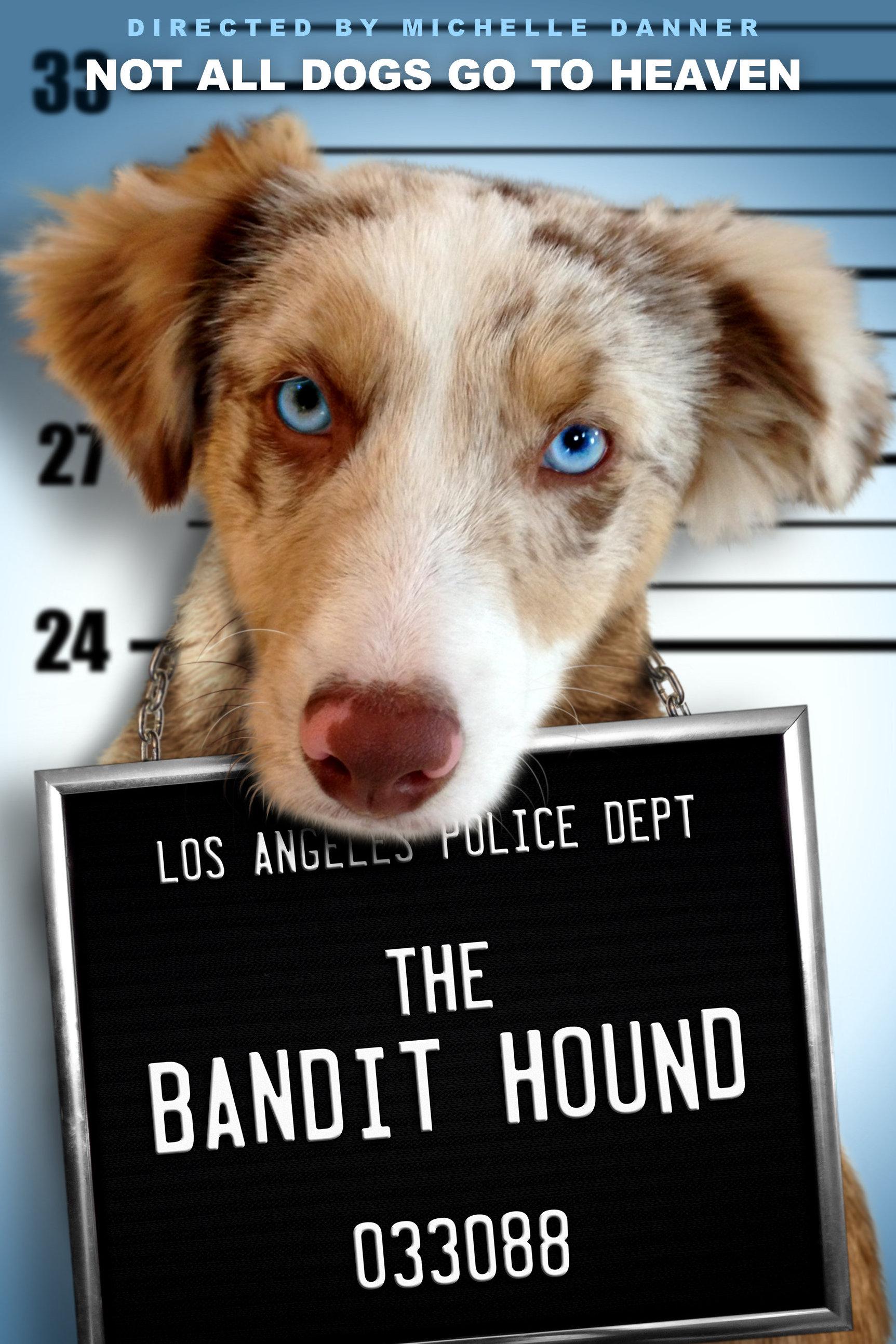 Пёс Бандит (pes-bandit) Фильм 2016