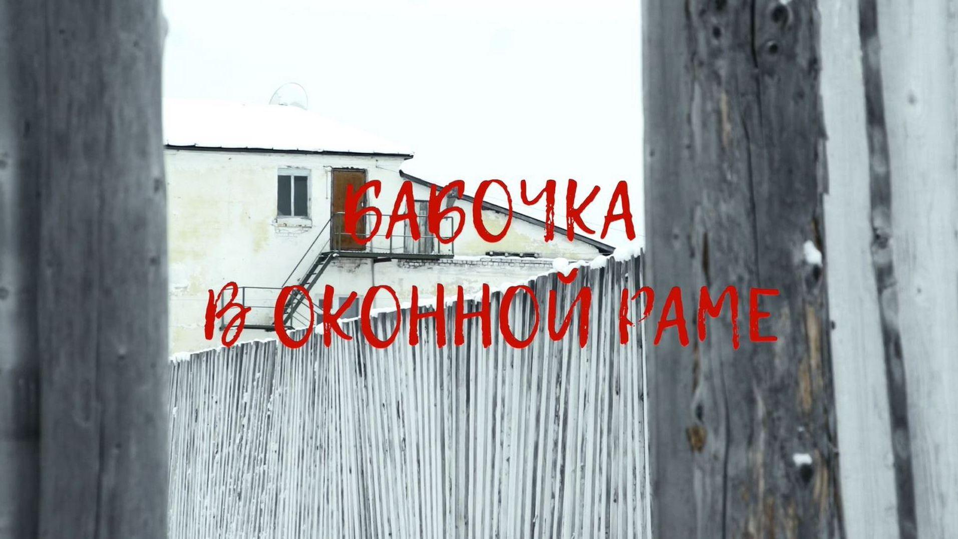 Бабочка в оконной раме (babochka-v-okonnoj-rame) Документальный фильм