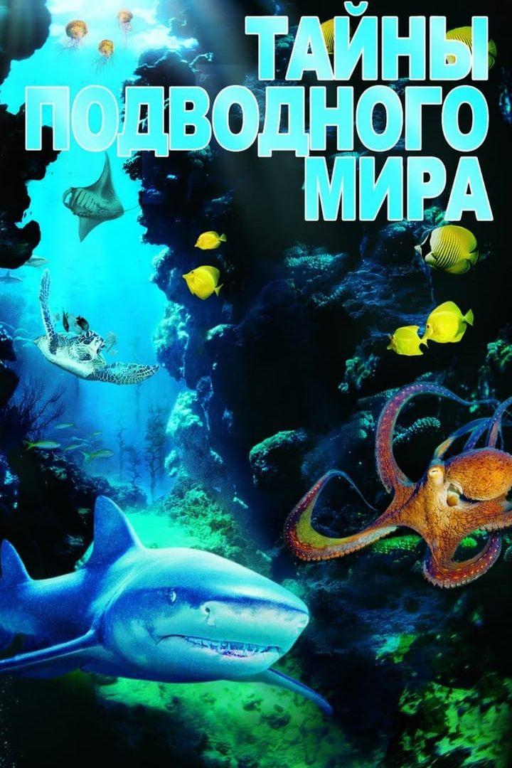 Тайны подводного мира 3D (tajny-podvodnogo-mira-3d) Документальный фильм