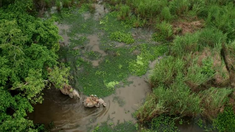 Постер Der große Fluss vom Himalaya: Bangladesch — Von der Tiefebene zum Ozean