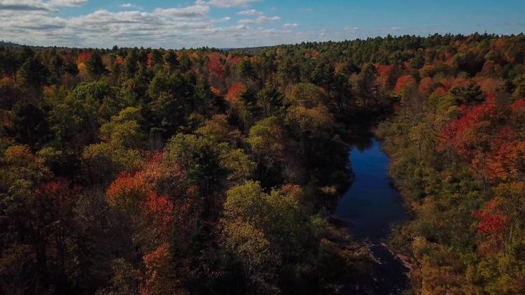 Постер Мэн, первозданная Америка