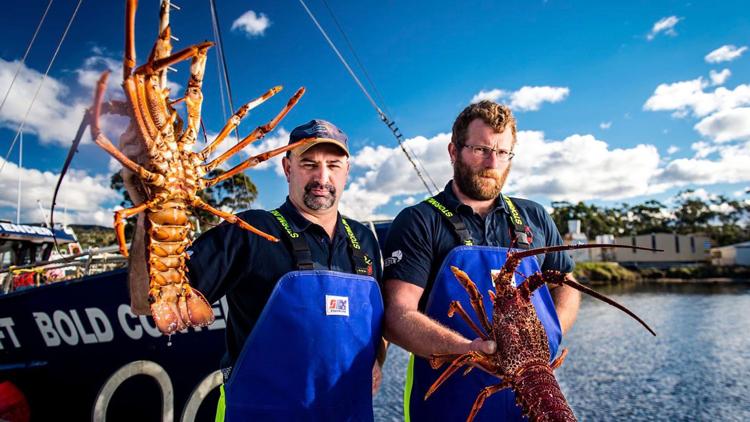 Постер Giant Lobster Hunters