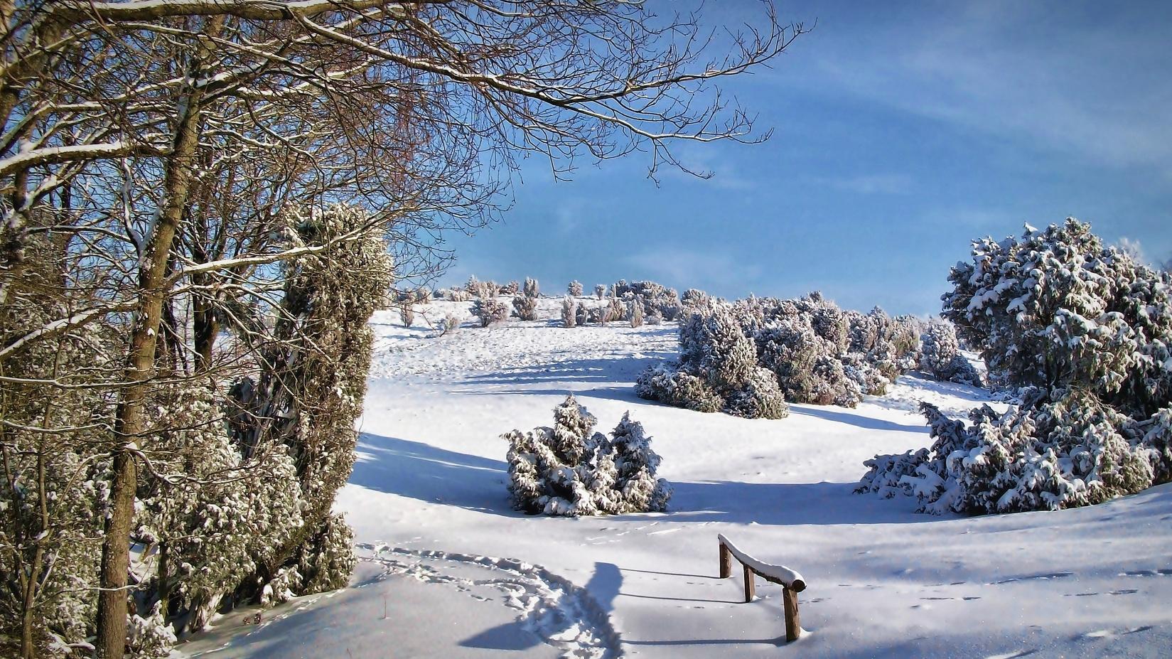 Winter in der Lüneburger Heide (winter-in-der-lneburger-heide) Познавательное
