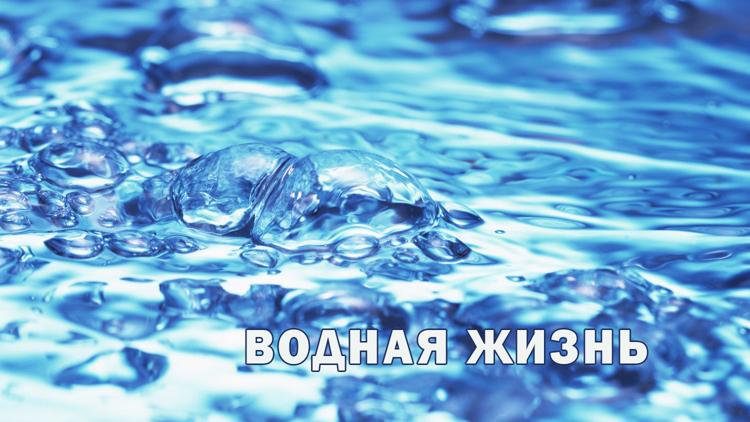 Постер Водная жизнь