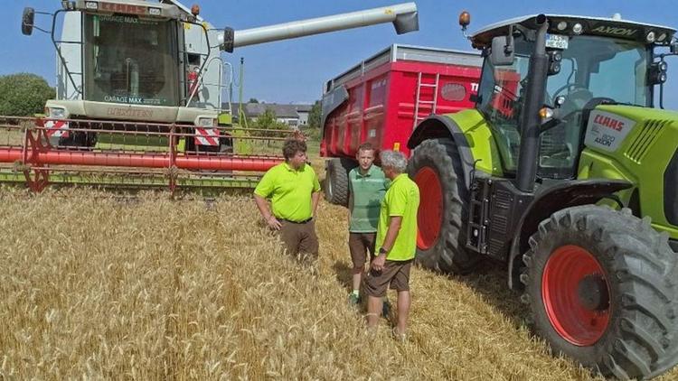 Постер Bauernwelten im Südwesten: Leben mit Vieh und Feldern