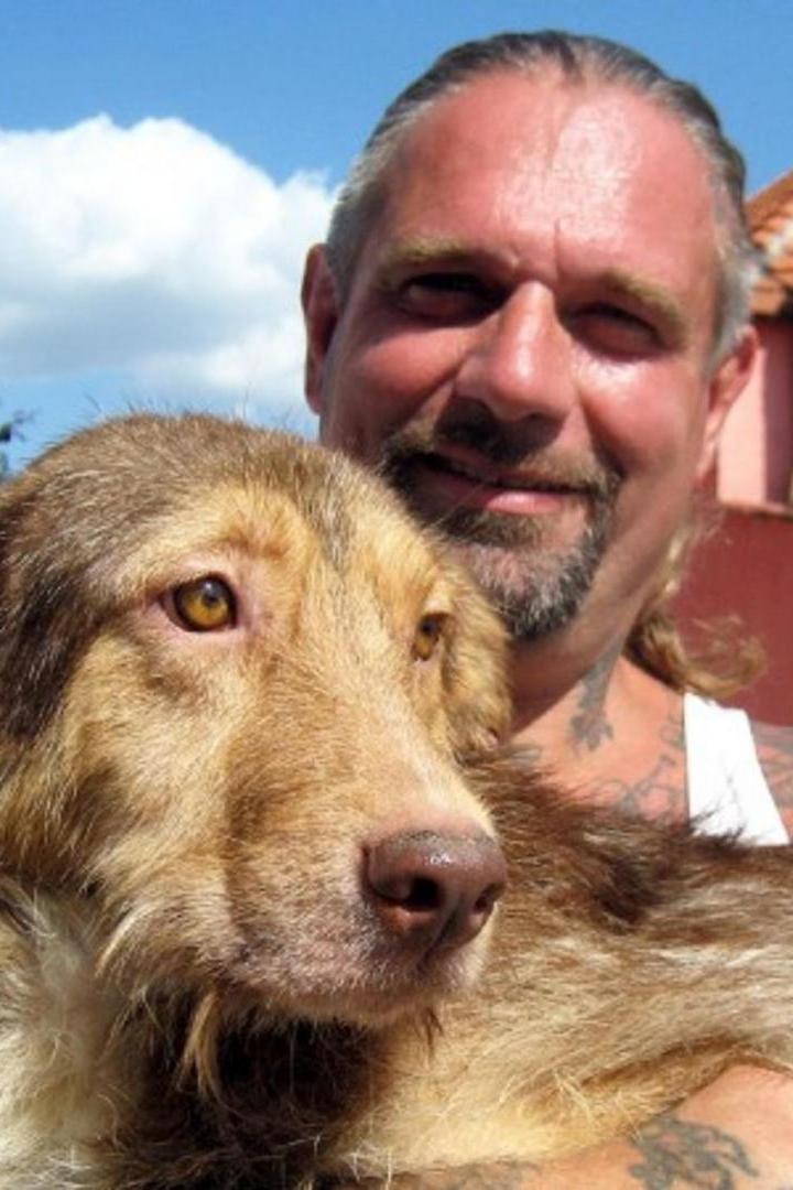 Harte Hunde-Ralf Seeger greift ein (harte-hunde-ralf-seeger-greift-ein) Документальный сериал