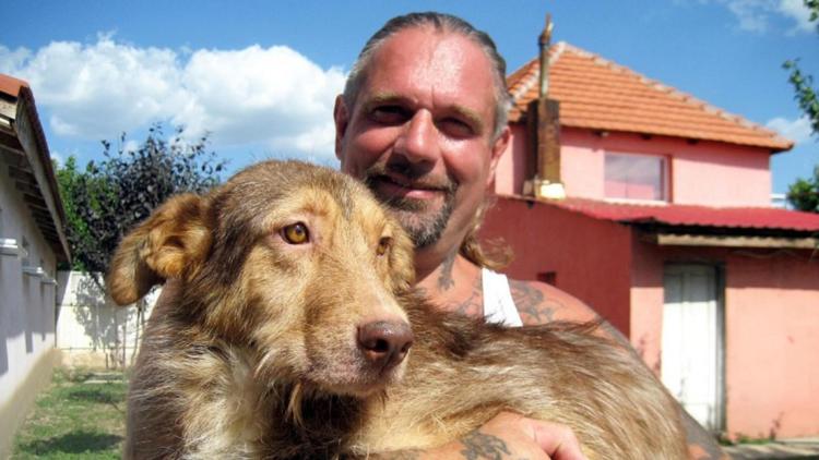 Постер Harte Hunde-Ralf Seeger greift ein