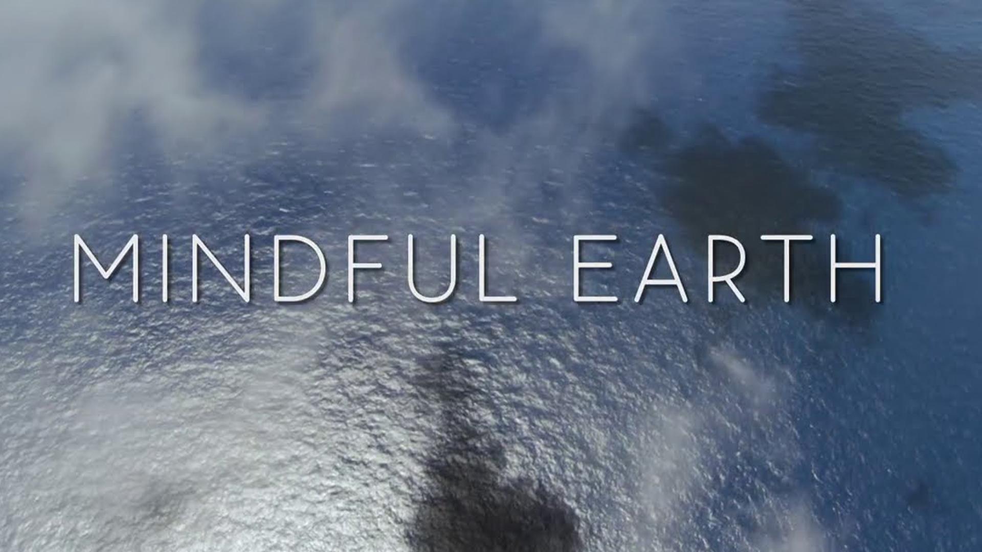Mindful Earth (mindful-earth) Документальный фильм