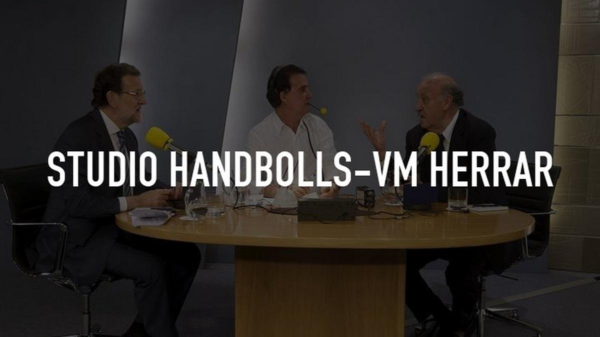 Studio Handbolls-VM Herrar (studio-handbolls-vm-herrar) Ток-шоу