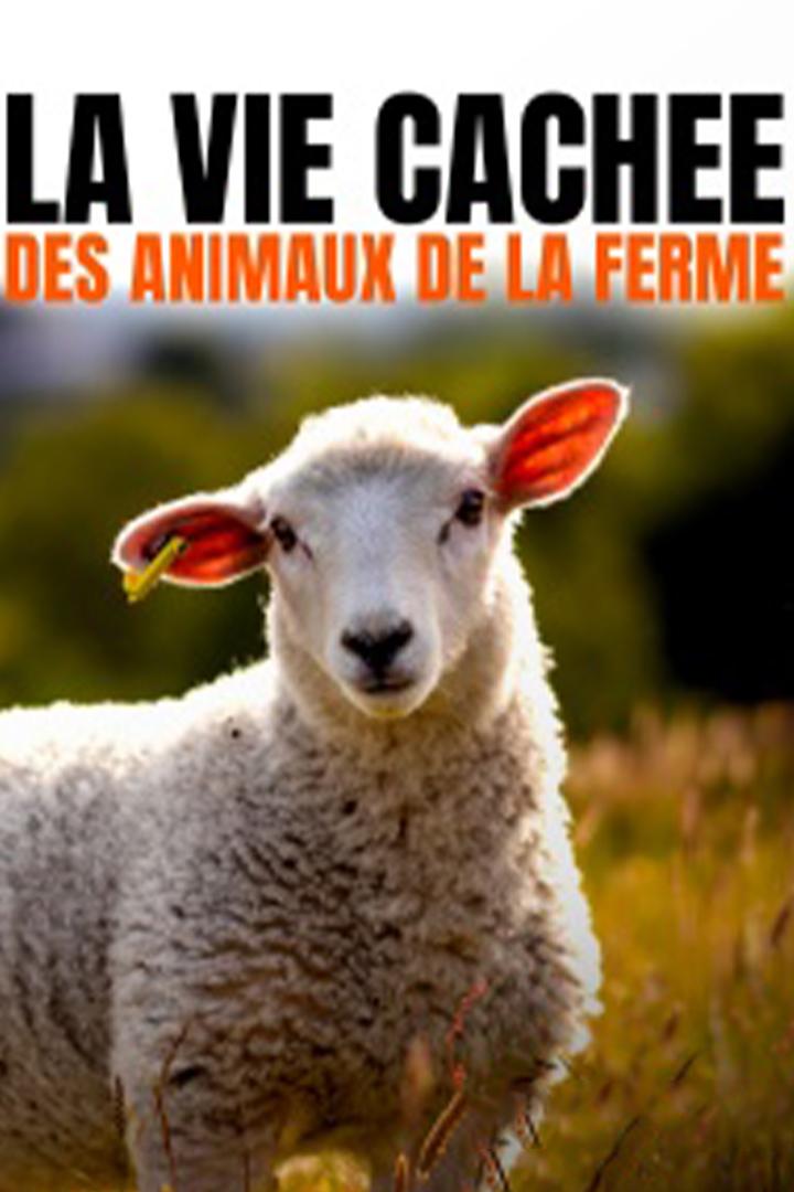 La vie cachée des animaux de la ferme (la-vie-cache-des-animaux-de-la-ferme) Документальный сериал
