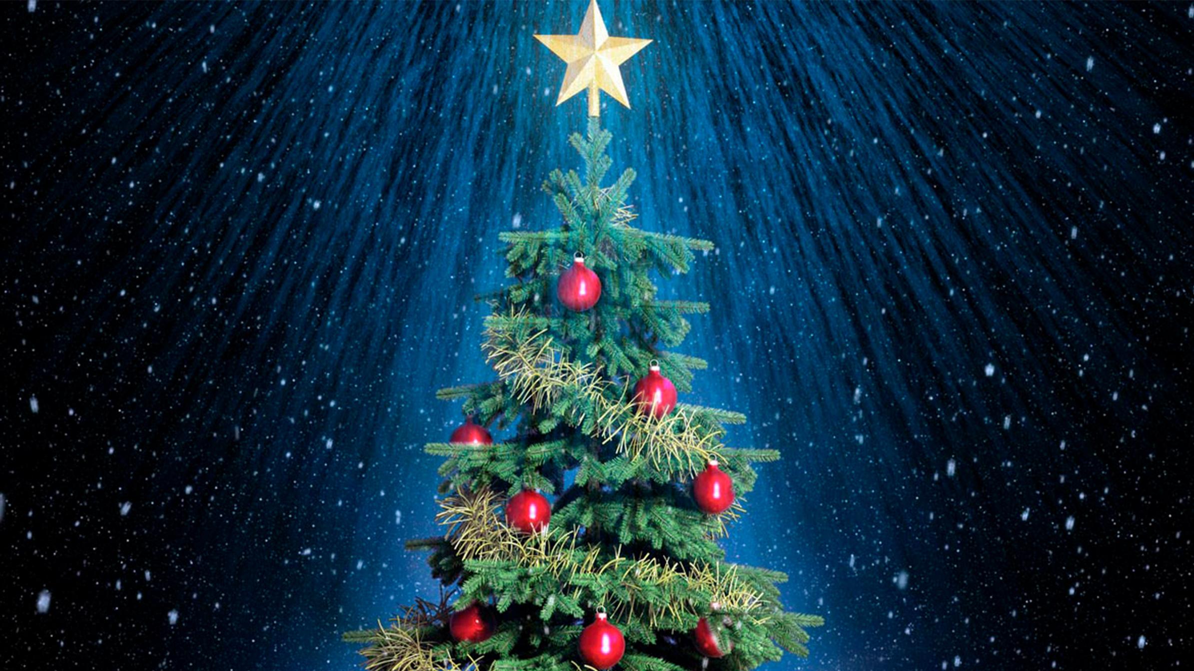 Extreme Christmas Trees (extreme-christmas-trees) Документальный фильм
