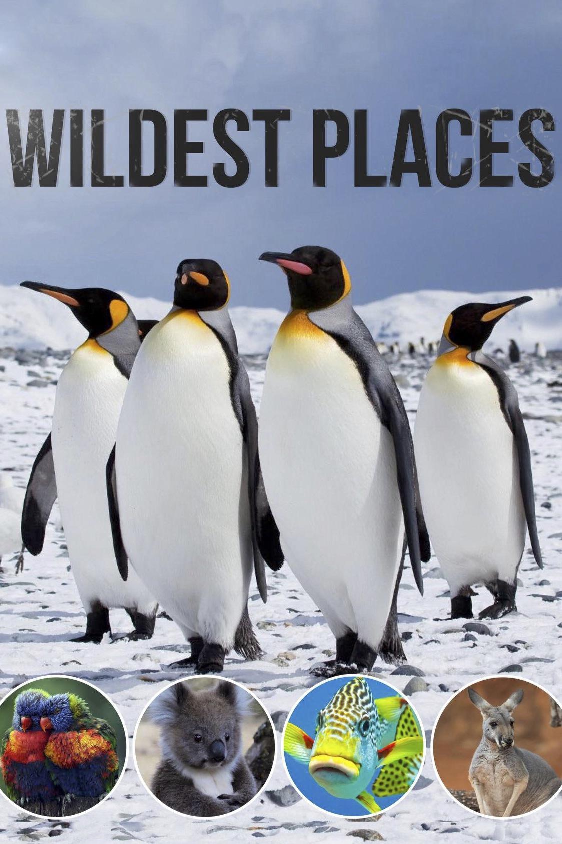 Wildest Places (wildest-places) Документальный сериал