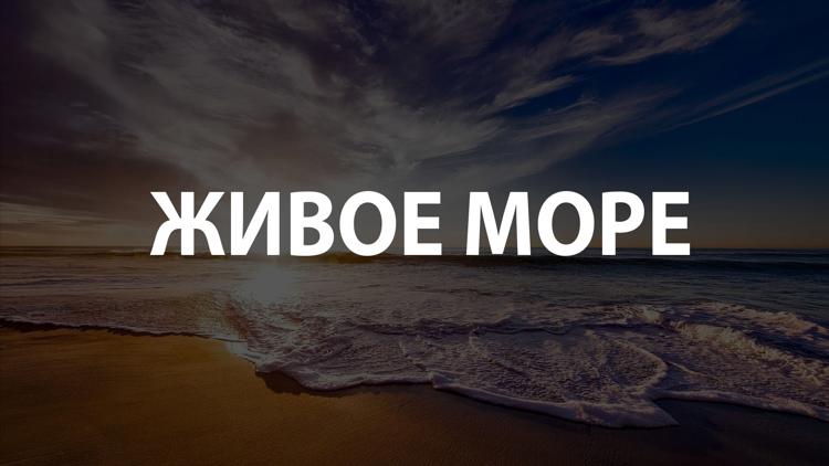 Постер Живое море