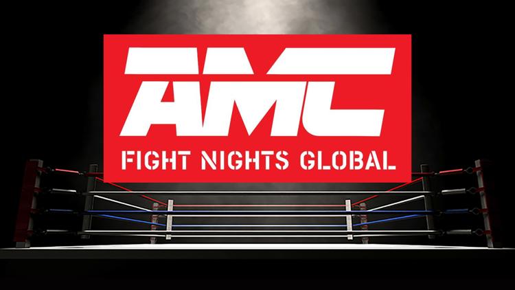 Постер Смешанные единоборства. AMC Fight Nights & «Стальное Сердце». Дмитрий Минаков против Армена Петросяна. Трансляция из Магнитогорска