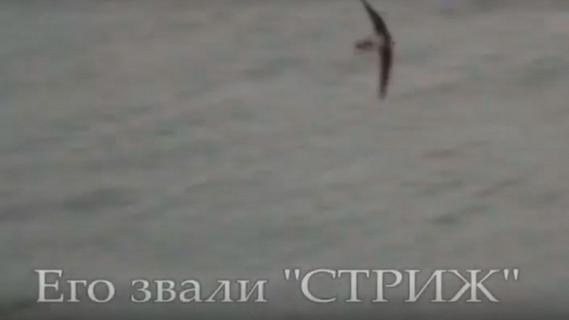 Владислав Стржельчик. Его звали Стриж (vladislav-strzhelchik-ego-zvali-strizh) Документальный фильм