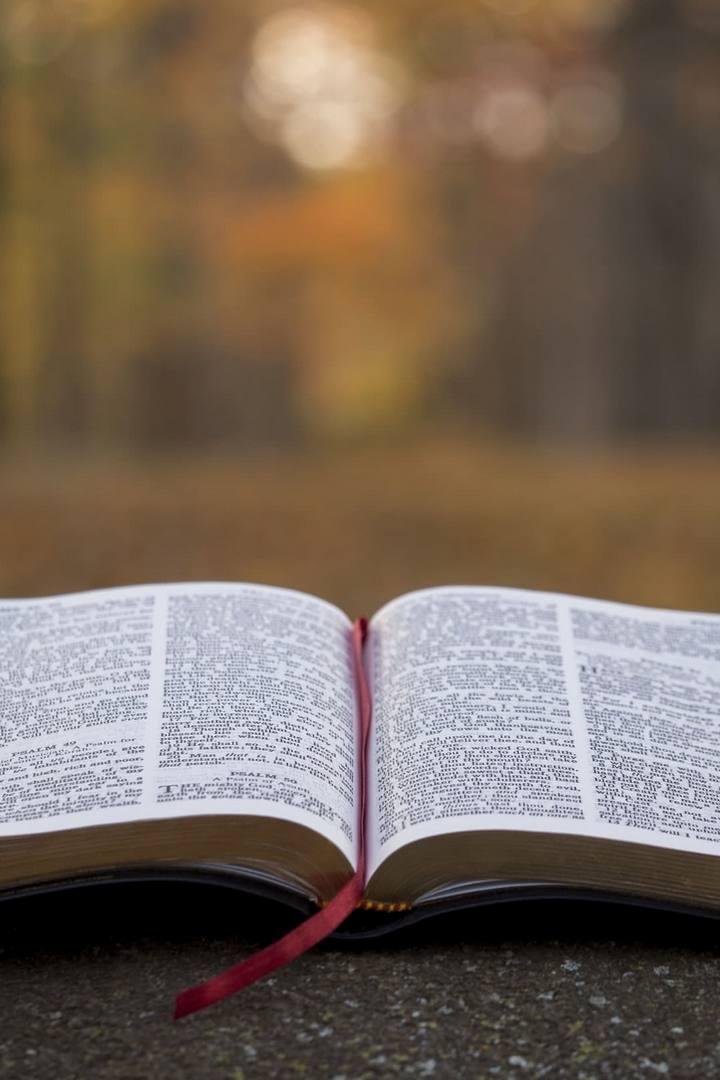 Как наука подтверждает библию (kak-nauka-podtverzhdaet-bibliju) Познавательное
