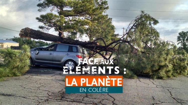 Постер Face aux éléments : la planète en colère