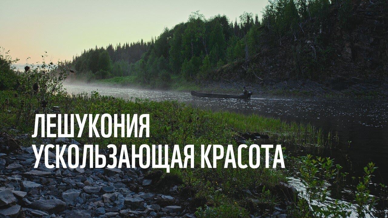 Лешукония. Ускользающая красота (leshukonija-uskolzajuschaja-krasota) Документальный фильм