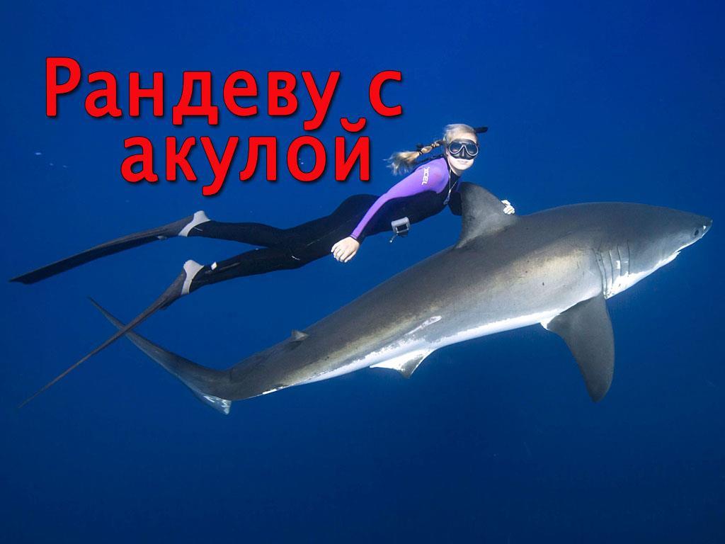Рандеву с акулой (randevu-s-akuloj) Документальный фильм