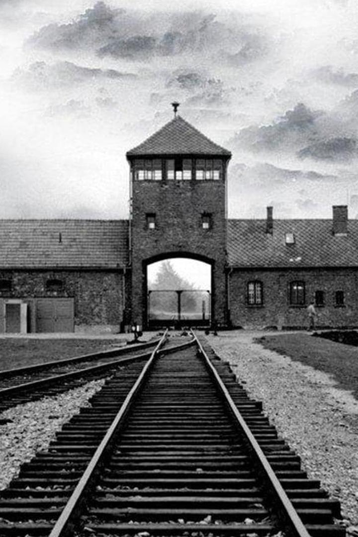 Celebrazione della Giornata della Memoria (celebrazione-della-giornata-della-memoria) Досуг, хобби