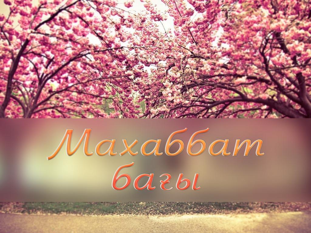 Махаббат бағы (mahabbat-bay) Другое