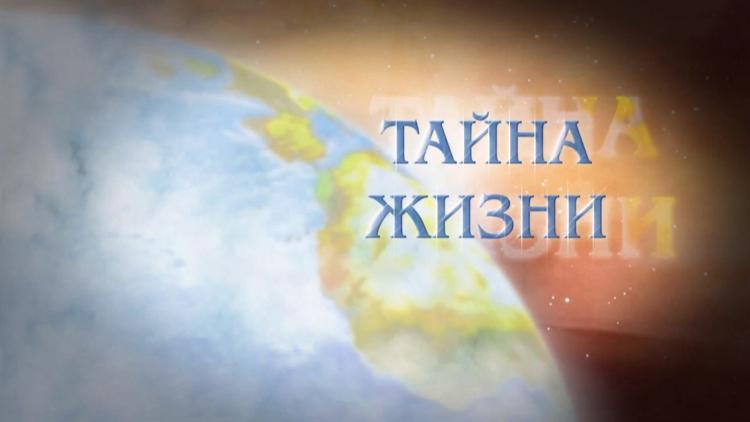 Постер Тайна жизни