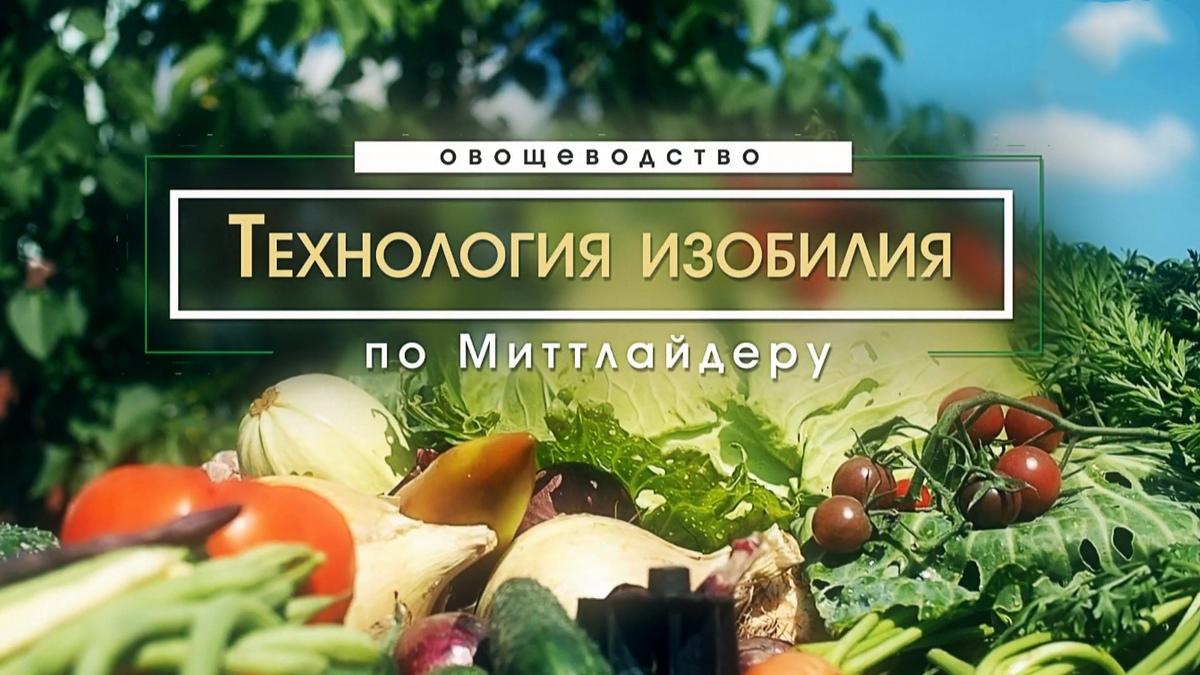 Технология изобилия (tehnologija-izobilija) Познавательное