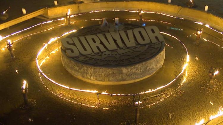 Постер Survivor